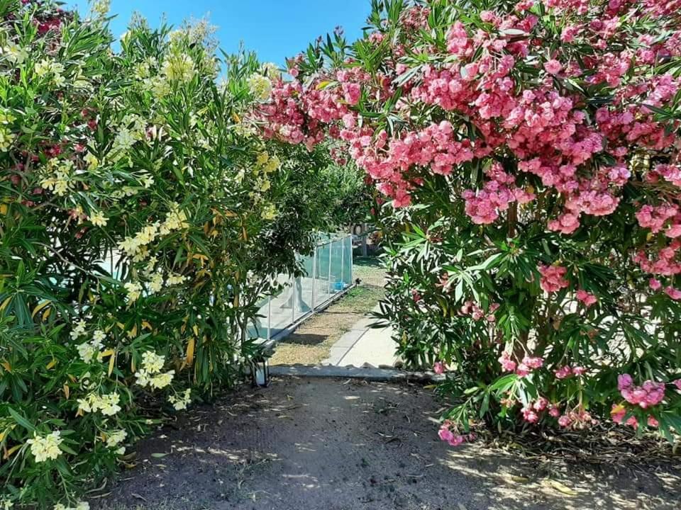 Orasi Sartene Gite Casa Fiurita Eksteriør bilde